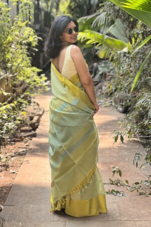 Mrigashira Jal Tarang